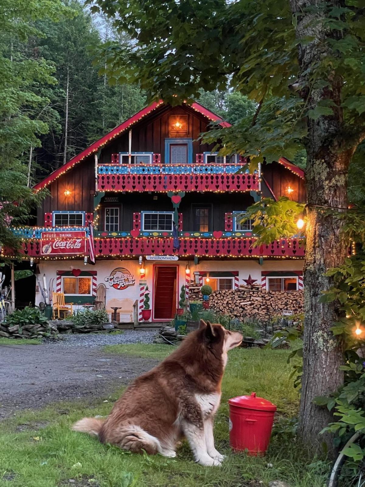 Grunberg Haus Inn & Cabins Waterbury Buitenkant foto